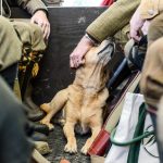 Fifty pence at a time: the levy funding game's future