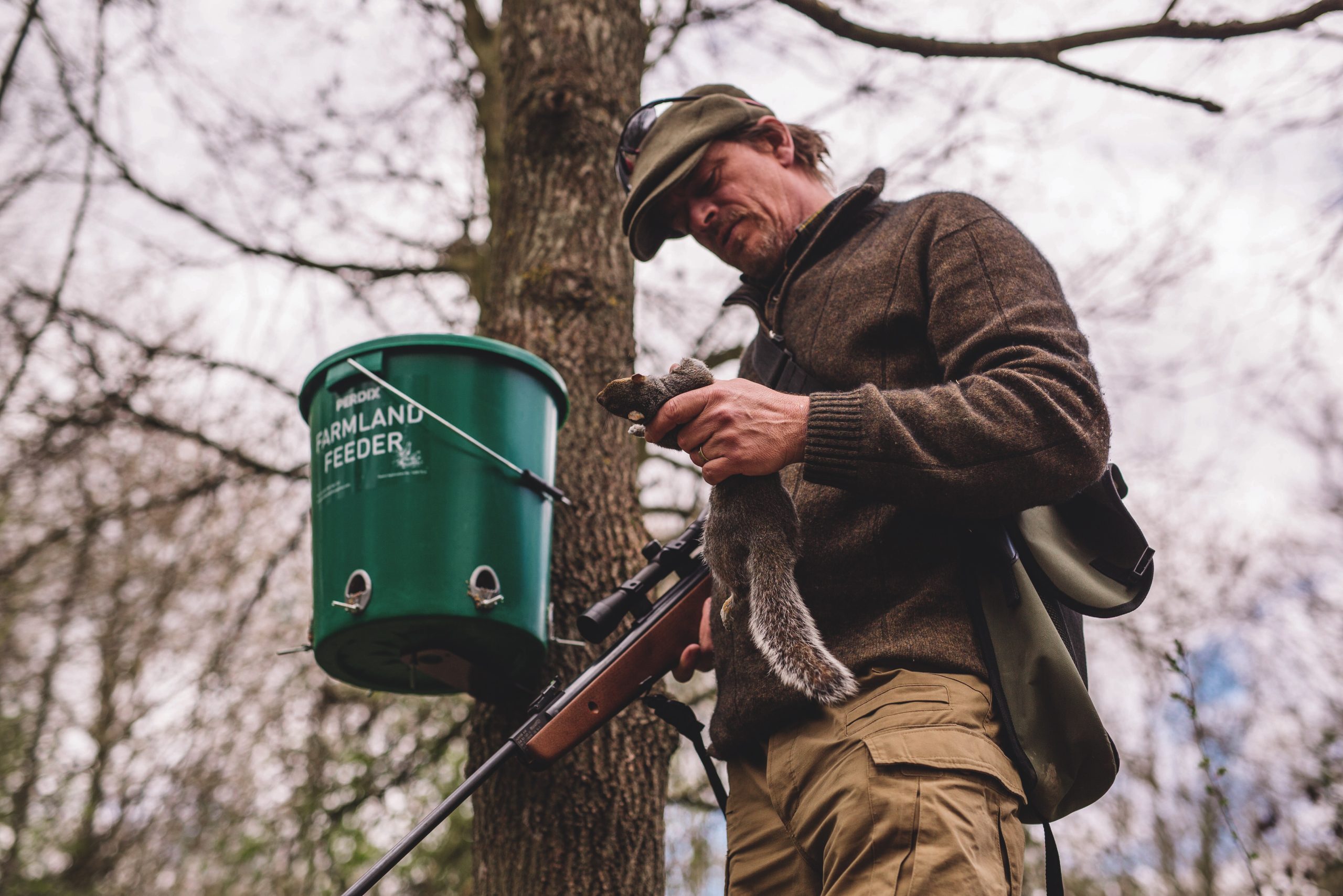 Non-lethal methods alone won't save England's red squirrels