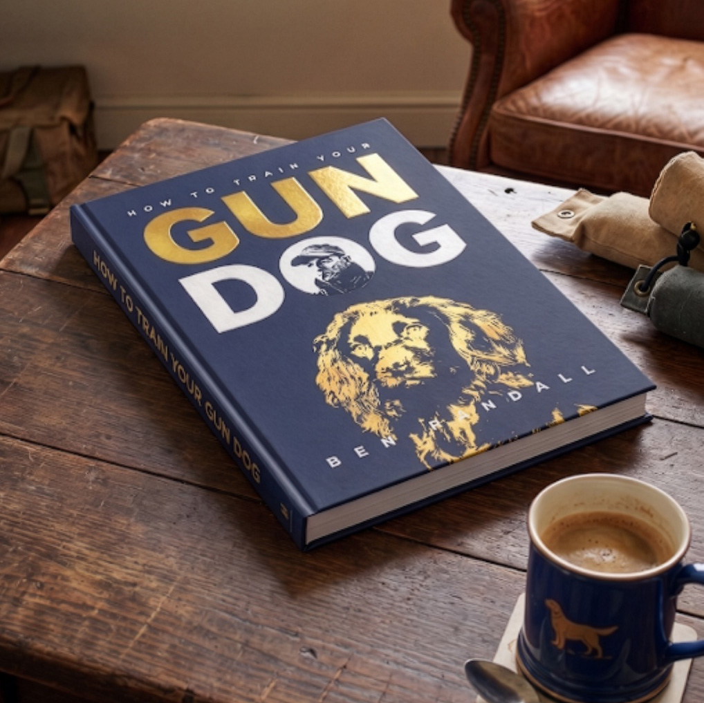 How to Train Your Gundog by Ben Randall