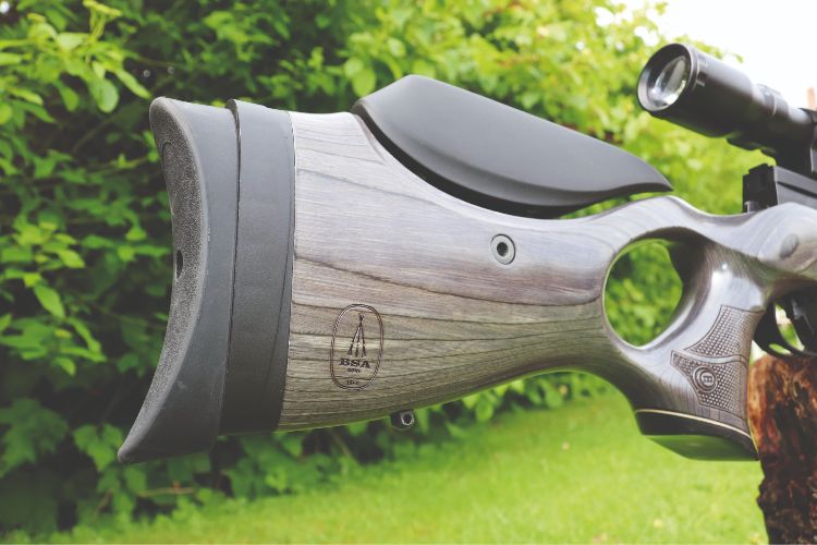 BSA R12 CLX Pro air rifle review