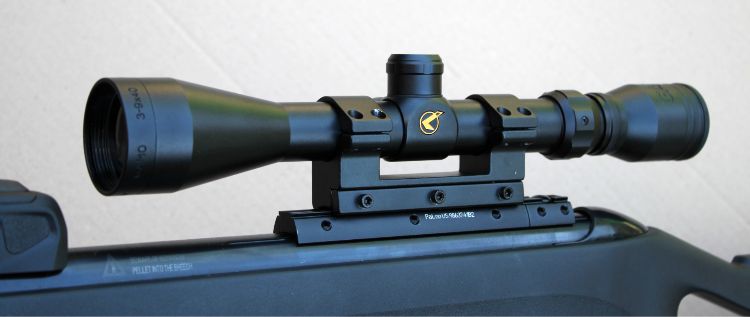 Gamo Whisper X Swarm scope