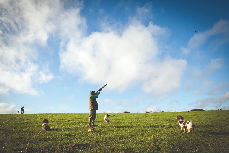 A man partridge shooting on a game day