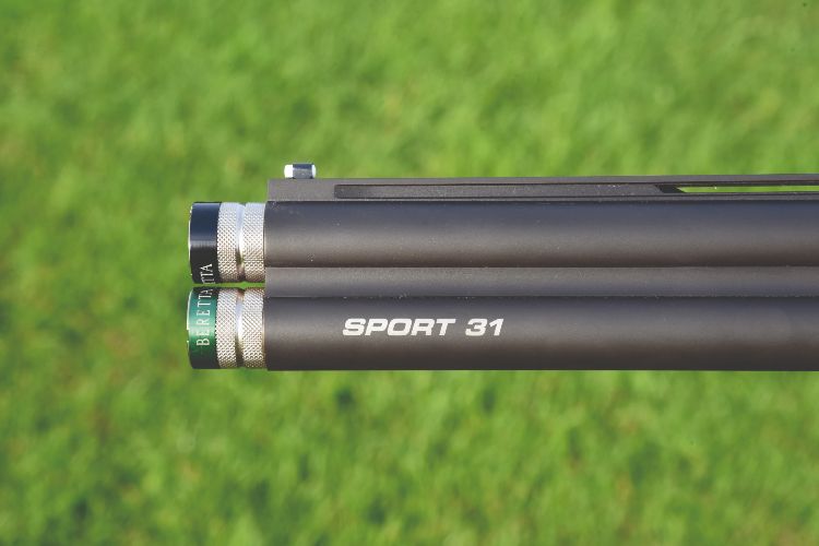 Beretta DT11 Sport 31 review