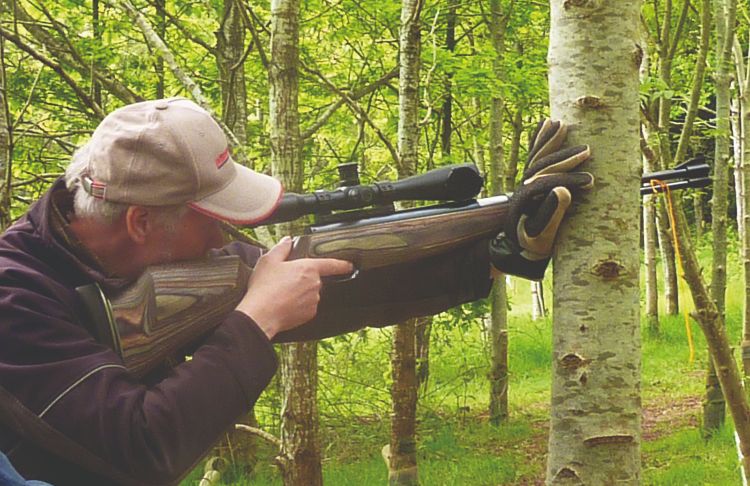 Shooting springer air rifles 