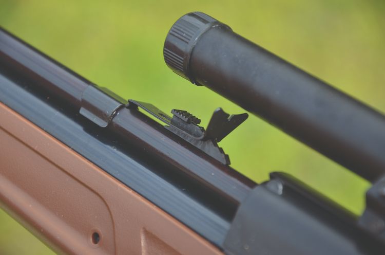 Open sights on an air rifle